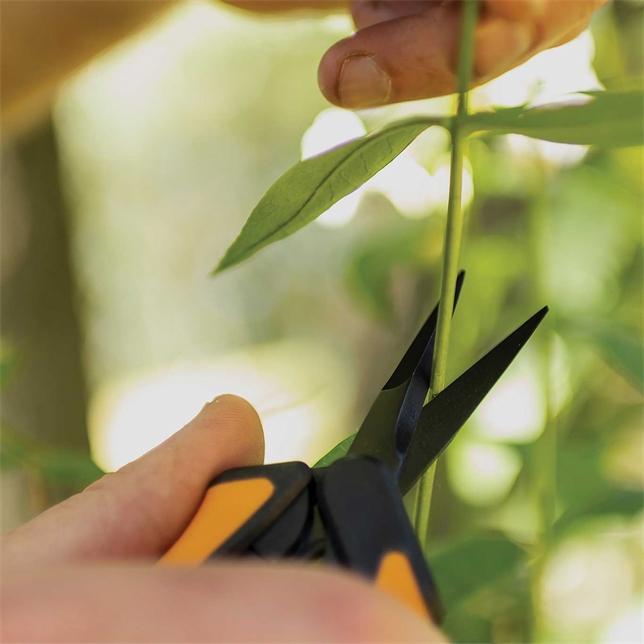 Fiskars Non - Stick Pruning Snips Gardening - Shelter Institute
