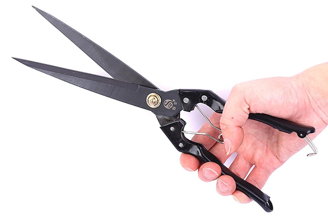 Grass Shears - Shelter Institute
