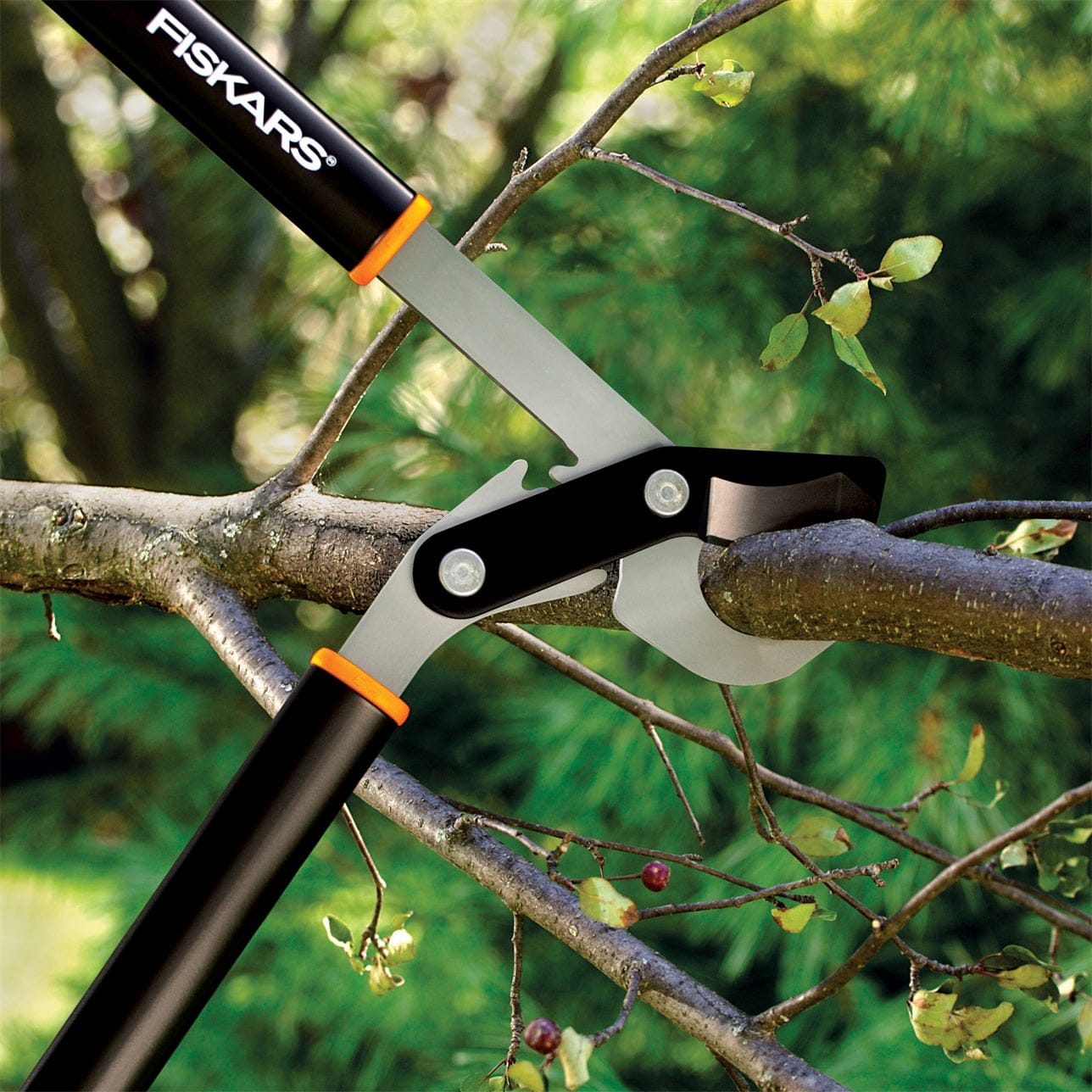 The FIS PowerGear2 Lopper easily slices through branches with its ergonomic handles, showcasing unmatched cutting power against lush green foliage.