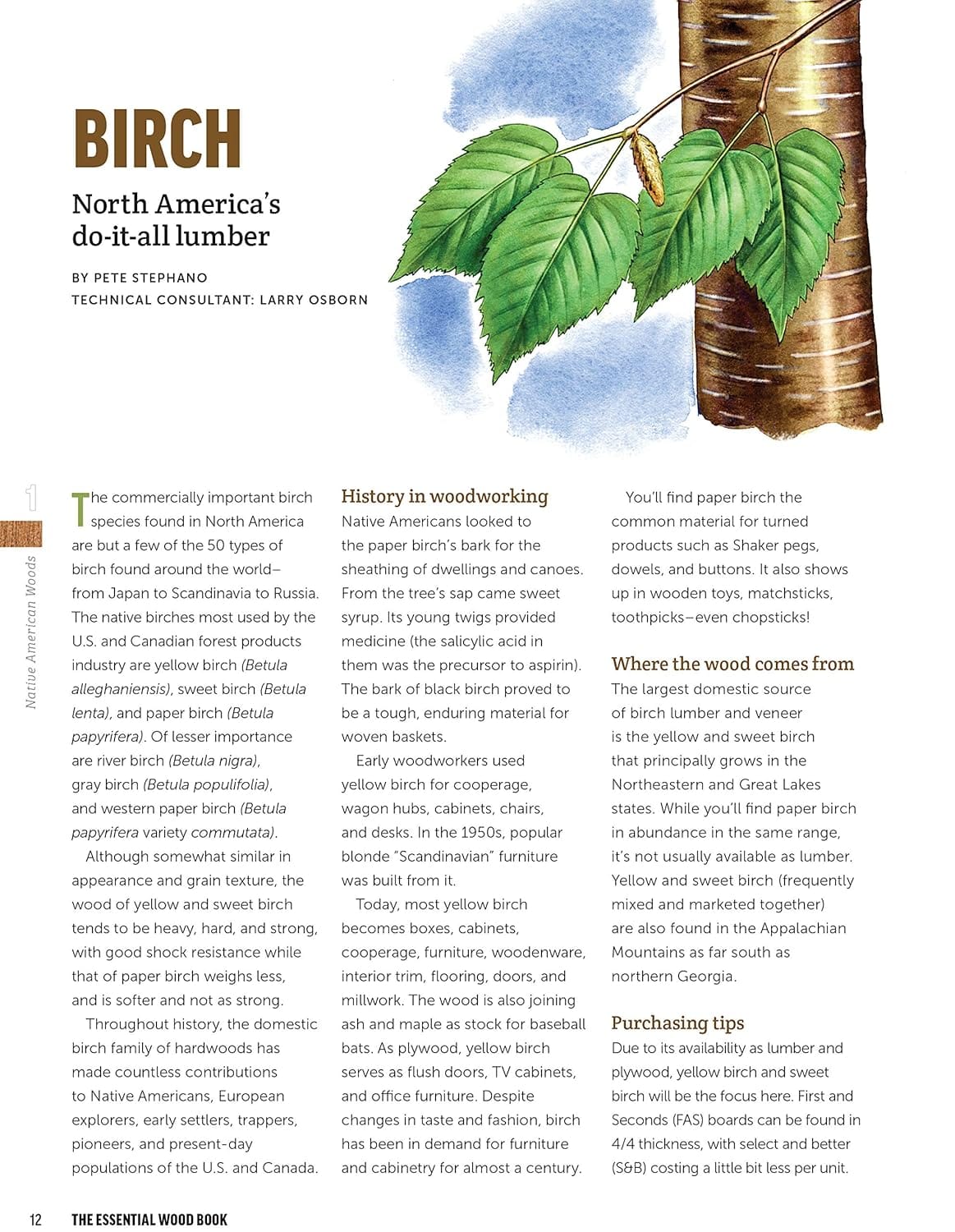 A magazine page on birch wood displays green birch leaves and features an article from The Essential Wood Book by Ingram Content Group detailing birch types, uses in woodworking, and its historical importance.
