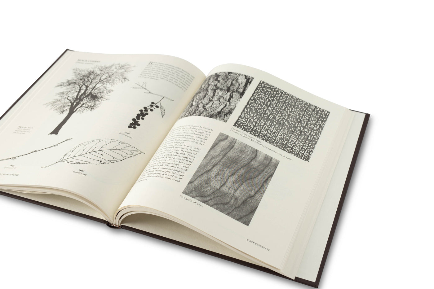 With the Grain: A Craftsmans Guide to Understanding Wood by LAP showcases black and white botanical illustrations, tree bark, leaves, and branches, offering furniture-making wisdom and insights on North American wood species.