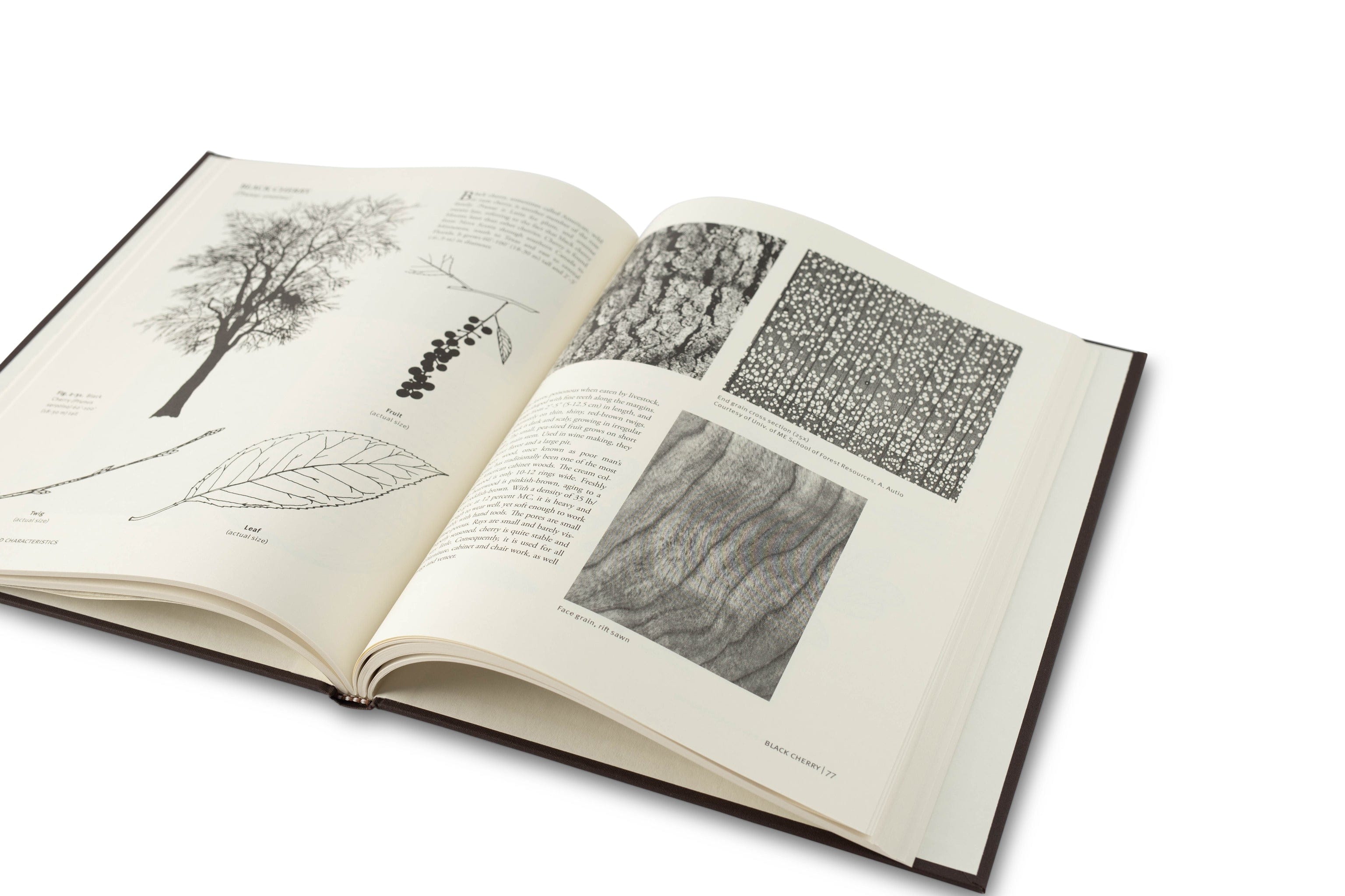 With the Grain: A Craftsmans Guide to Understanding Wood by LAP showcases black and white botanical illustrations, tree bark, leaves, and branches, offering furniture-making wisdom and insights on North American wood species.