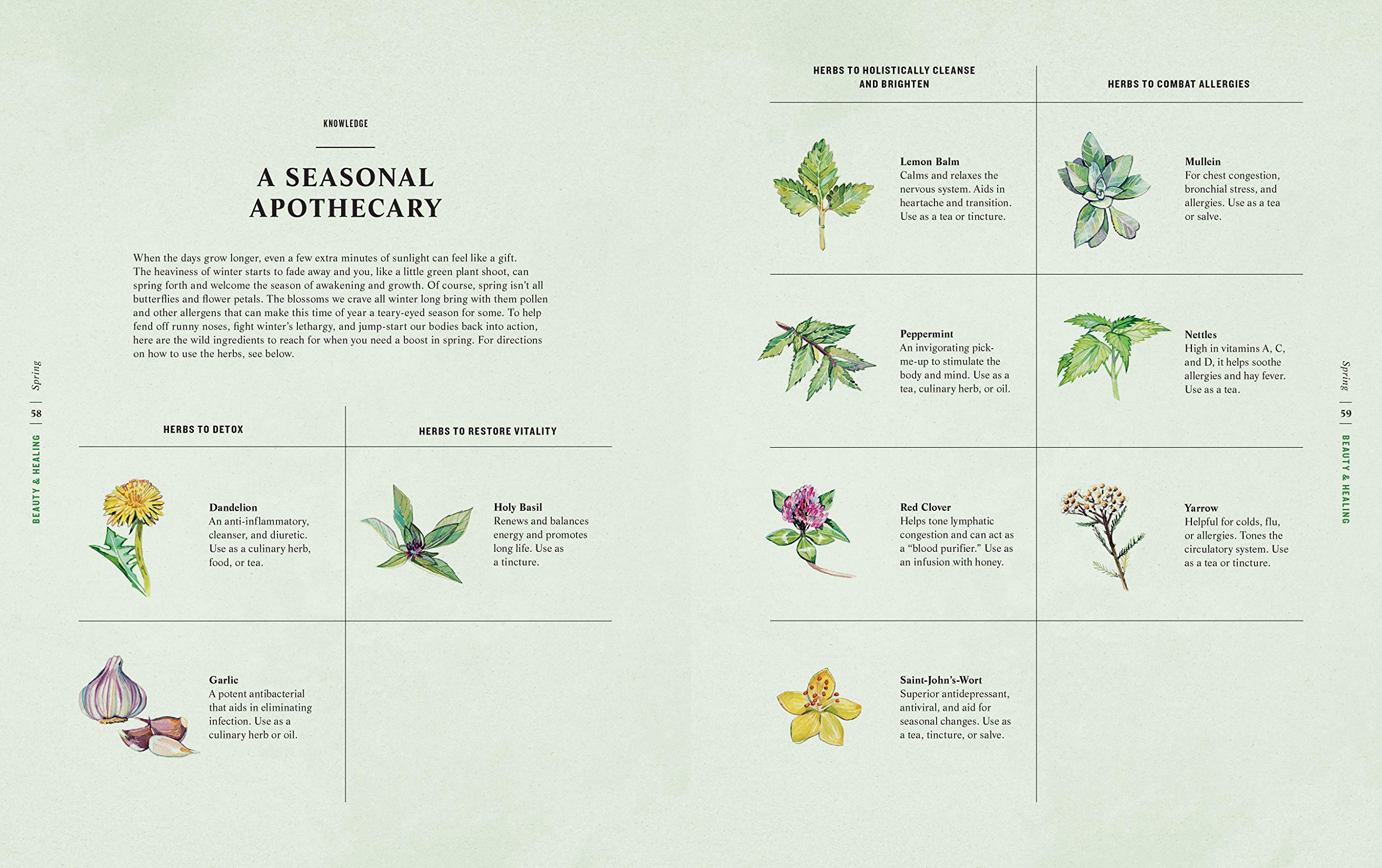 A Wilder Life: A Season-by-Season Guide to Getting in Touch with Nature