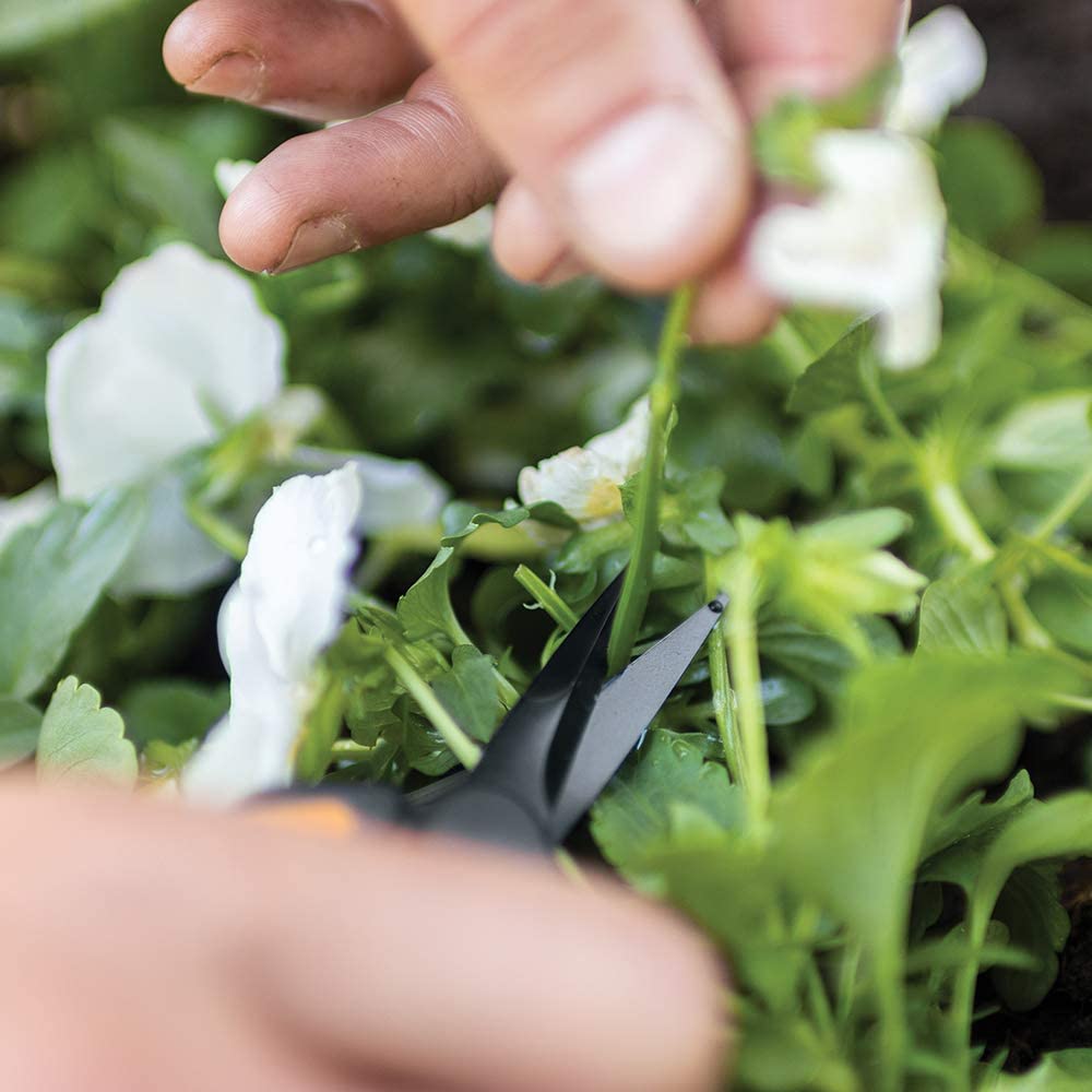 A close-up of hands using FIS Fiskars Non-Stick Pruning Snips (2-pack) to trim the stem of a flowering plant with green leaves and white blossoms.
