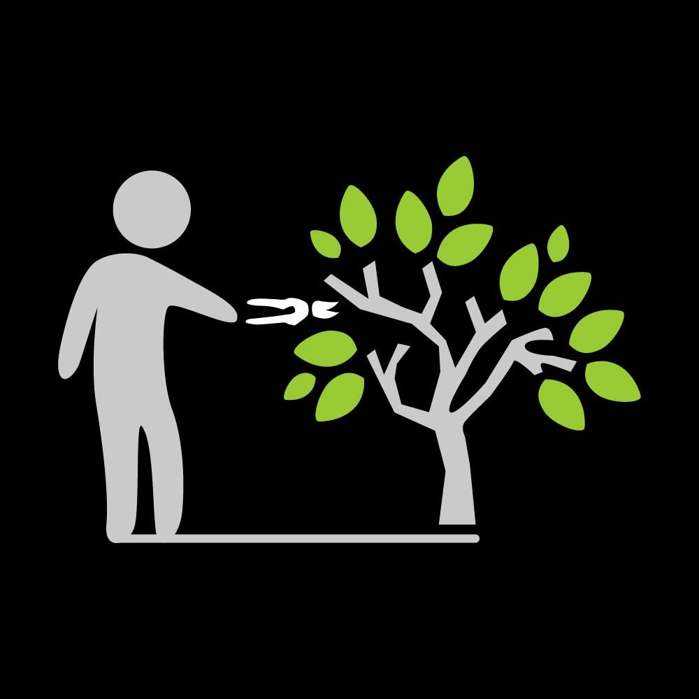 A minimal illustration shows a person using the FIS Professional Bypass Pruner, featuring adjustable blade tension, to trim a branch from a green-leaved tree against a black background.