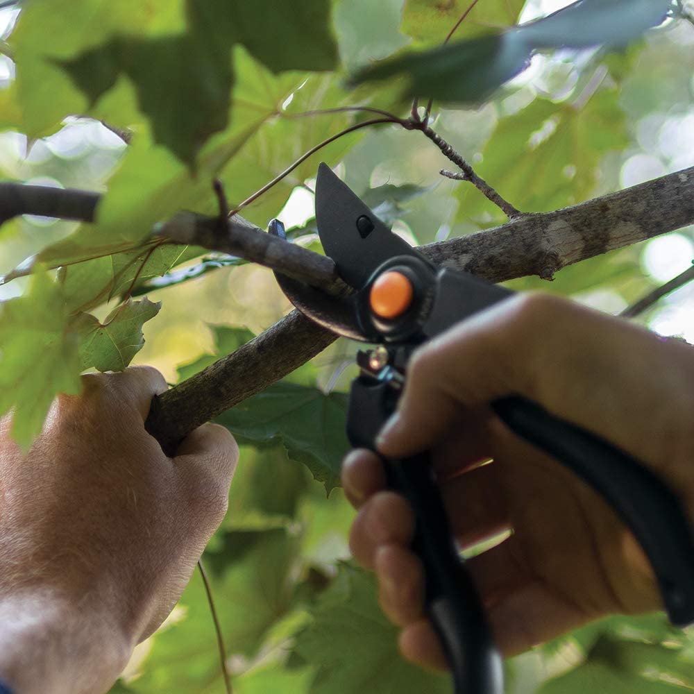 Close-up of hands using the FIS Professional Bypass Pruner with an angled cutting head to trim a branch from a leafy tree, surrounded by green foliage.