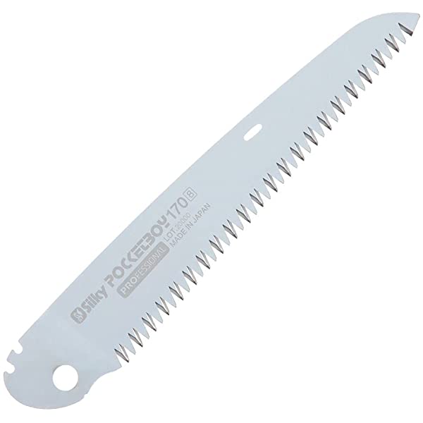 The BBT Pocket Boy 170 Folding Saw features a silver serrated blade with sharp teeth, branded "Pocketboy 170 mm, Professional, Made in Japan," and includes a reliable locking mechanism for safety and precision.